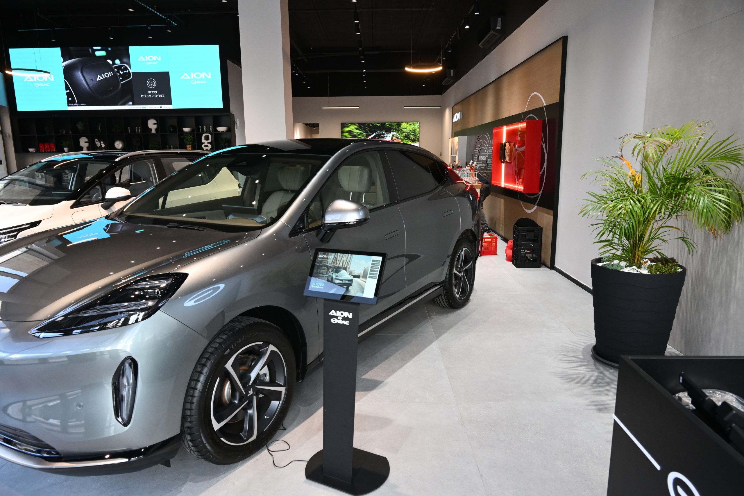 אולמות תצוגה