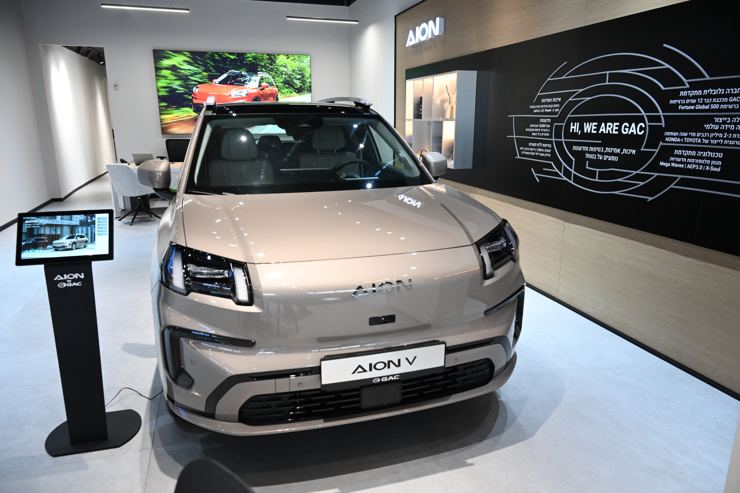 אולמות תצוגה